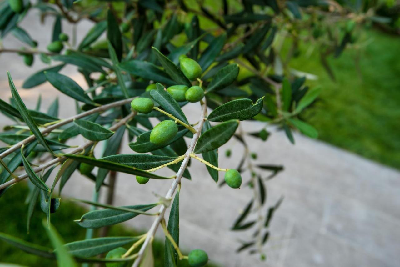 Apartmán Olive 302 Peraía Exteriér fotografie